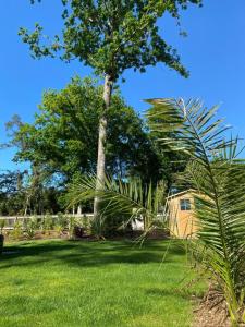 Villas Maison Labenne sous les pins a 5 minutes de la plage : photos des chambres