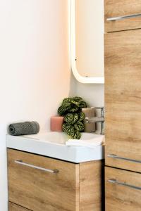Appartement Le Castelou 4 voyageurs