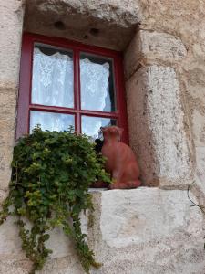 B&B / Chambres d'hotes La Belle Epoque : photos des chambres