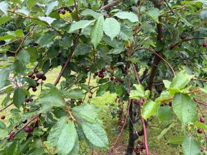 Maison 4 Chambres Normandie