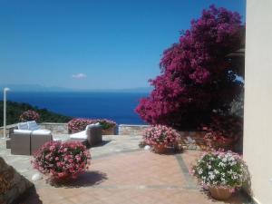 Elies Houses Skopelos Greece