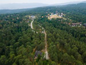 Apartman Crni bor 2 Tara