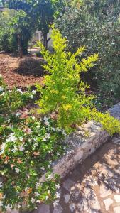 Villa Giorgia Polignano A Mare