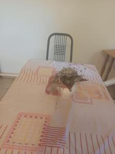 Tapolcai Tóparti Fészek