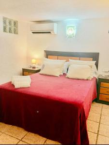 Apto piscina y jardin privado