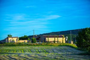 Maisons de vacances Mas Mont-Laure Jacuzzi, Pool & Tranquility : photos des chambres