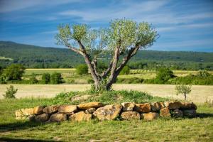Maisons de vacances Mas Mont-Laure Jacuzzi, Pool & Tranquility : photos des chambres