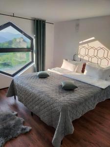 ProPolis