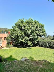 Villas Mon Olivier - Villa with stunning sea view : photos des chambres