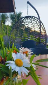 Lavinya Suit Bungalov