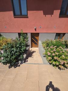 WELLNESS Ubytování Brno-Moravany