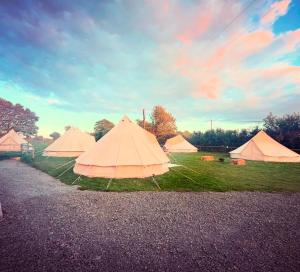 Infinite Sky camping