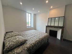Appartements Grand logement 120m2 centre Foix -3chambres-2SDB-2wc : photos des chambres