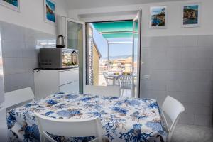 Seagulls, Elegance and Freedom