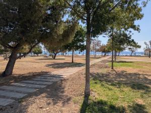 Maisons de vacances L-etang au soleil : photos des chambres
