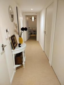 Appartements Entre terre et mer : Appartement 1 Chambre