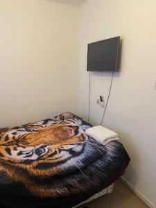 1 bedroom rentals in Birmingham