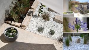 SECRET GARDEN Komiza