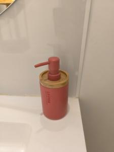 Bel Appartement Terracotta au cœur de Narbonne