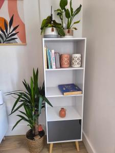 Appartements Bel Appartement Terracotta au coeur de Narbonne : photos des chambres