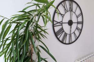Appartements Nid normand en batisse 1620 - Calme & hyper centre : photos des chambres