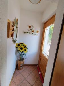 Appartamento Bill Sottoguda