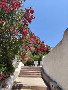 Casa Vacanze
