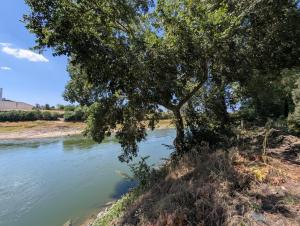Maisons de vacances Le gite de l-ile du Buzet : photos des chambres