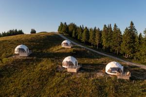 Stargazing Glamping Domes Golte
