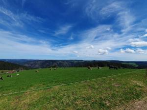 Haus Schanzenblick Gästezimmer5 mit Bad und Balkon mit Aussicht