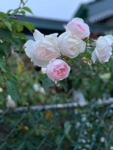 Hide Out Hills Bungalow