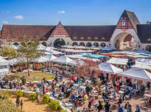 Spacious apartment 65 m2 - city center - beach