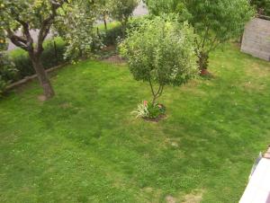 Apartments in Balatonmariafürdo 19567