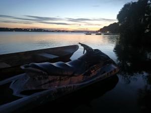 Apartament u Romana,