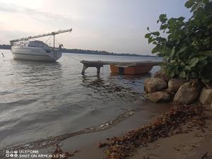 Apartament u Romana,