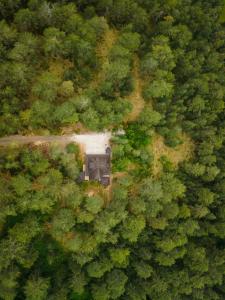 Apartman Crni bor 2 Tara