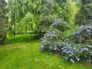 B&B / Chambres d'hotes Le Bastion : photos des chambres