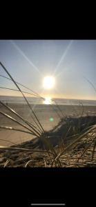 Maison chaleureuse bord de la mer