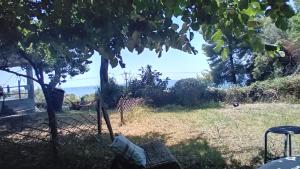 Villa katerinas breams