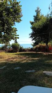 Villa katerinas breams