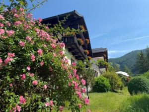 Pension & Appartements Ronacherhof -Mountain Hideaway Slopeside - 3hvězdičkové hotely ve městě Bad Kleinkirchheim