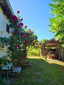 Етно кућа Нана Добра