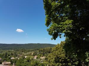 Maisons de vacances L-Oustaou dou Sounaire : photos des chambres