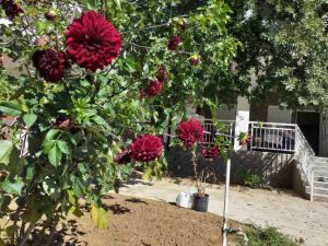 Apartmani Sutomore welcome