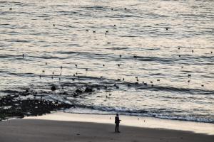 Haus Metropol App 108 mit Meerblick und Cityblick 3 Balkone