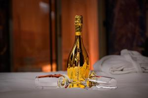 Oasis Wellness Suites by Madison Luxury Apartments