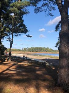 Schwedenhaus Alleinlage