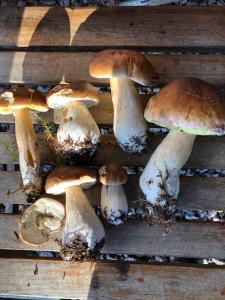 Schwedenhaus Alleinlage