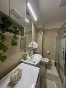 Penthouse Escape Otopeni An Unforgettable Experience