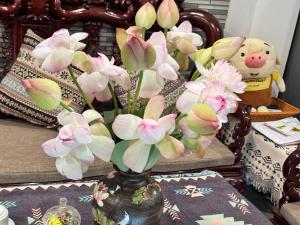 Ha Noi Home Nest